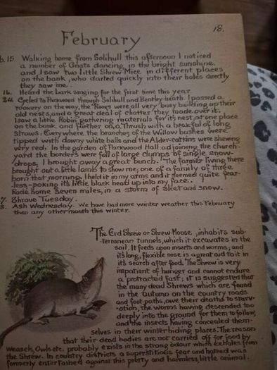 Vintage The Country Diary of an Edwardian Lady