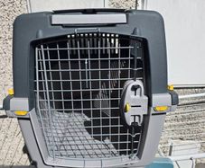 dog carrier