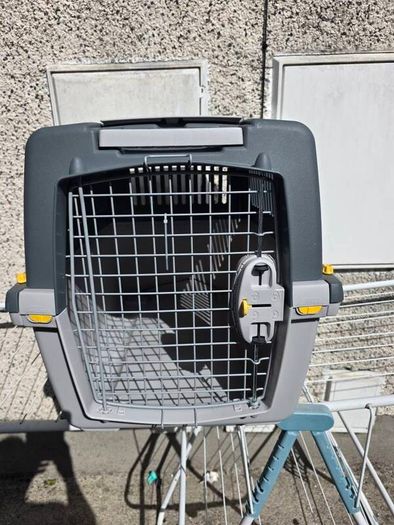 dog carrier