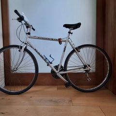 Dawes Discovery 201 Mens Hybrid Bike with mudguards and lock