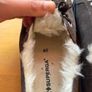Superga women's Image 4