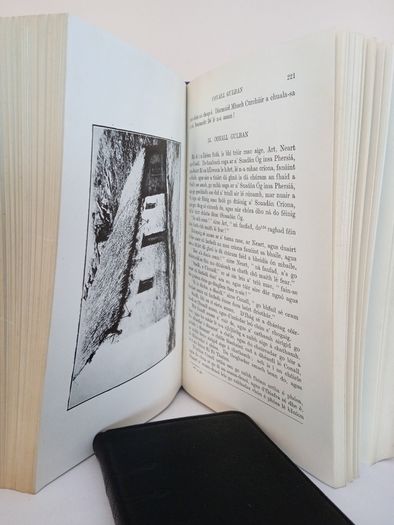Leabhar Sheain I Chonaill by Seamus O' Duileagra (PT134)