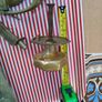 Brass Door Knob, Letter box etc Image 10