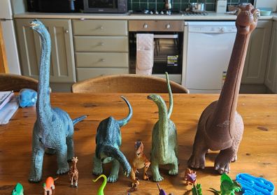 Dinasours
