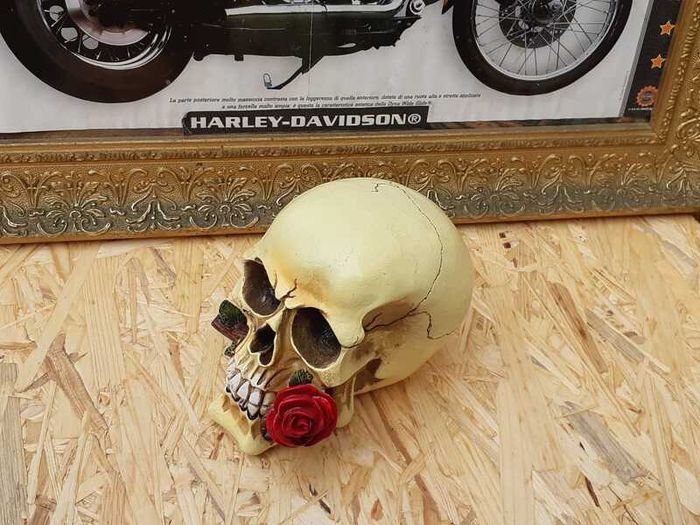 Harley Davidson