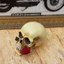 Harley Davidson Image 4