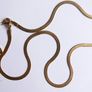 Vintage Gold Plated Flat Chain Necklace length 17" Image 8
