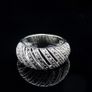 Ring Image 2