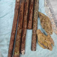 drift wood