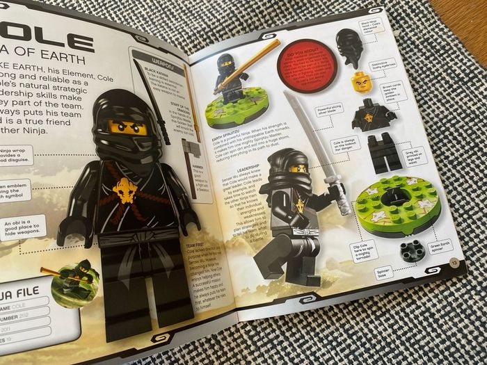 Lego Ninjago Masters of Spinjitzu - Character Guide