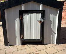 dog house