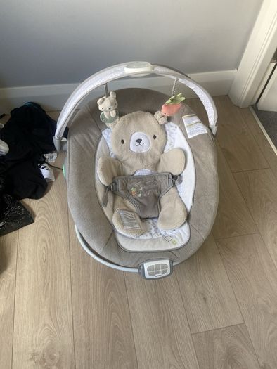 Ingenuity Baby Bouncer
