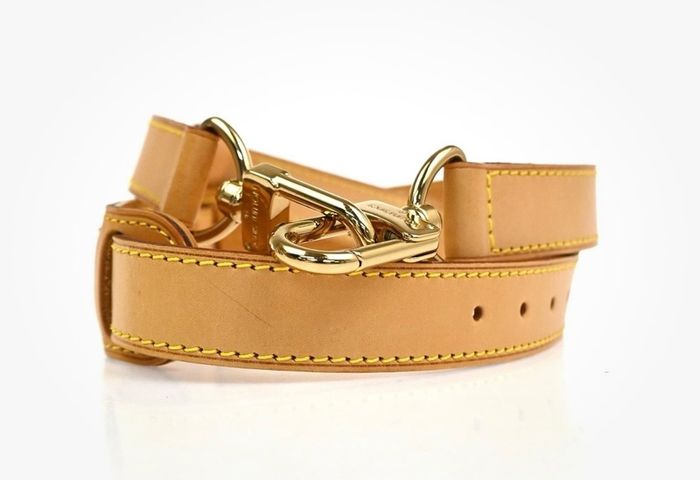 Louis Vuitton strap