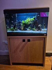 Fluval Fish Tanks 200ltr