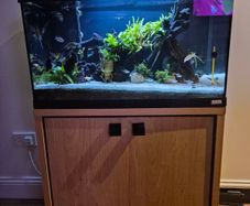 Fluval Fish Tanks 200ltr