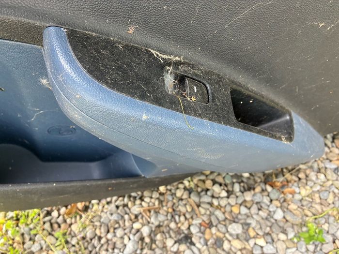 Drivers door i10