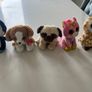 Ty beanie boo bundle (Medium size). Image 3