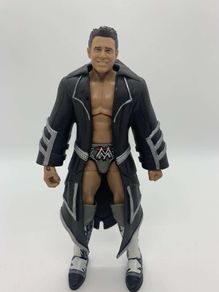 wwe elite series 24 The Miz action figure
