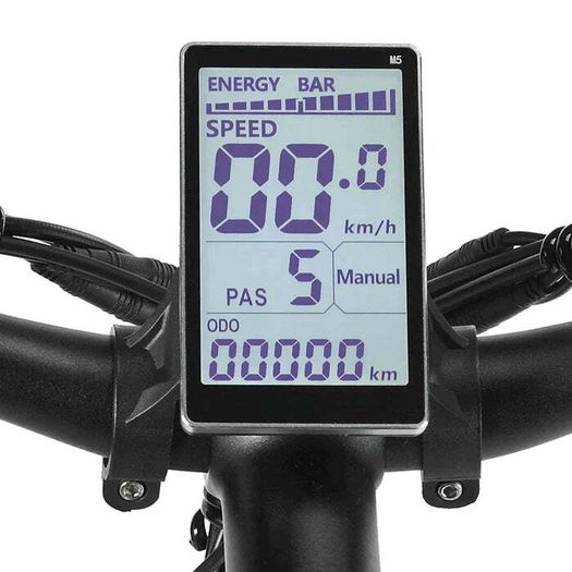 PHILODO H7 Pro All-Terrain Electric Fat Bike 26 Inch - Green