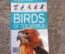 Book Birds