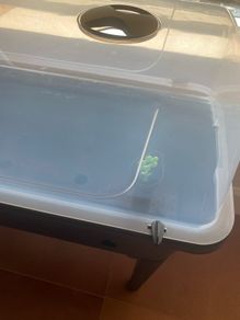 Vegetable Grow Table