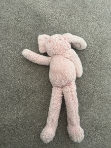 Next pink rabbit