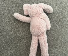 Next pink rabbit