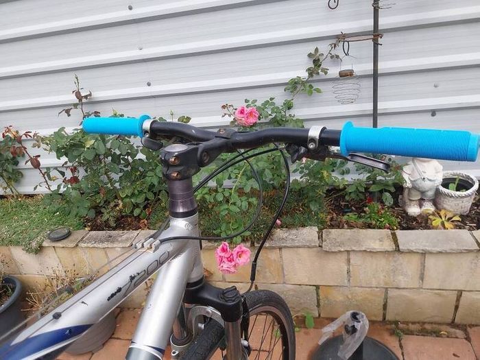 trek hybrid  serviced