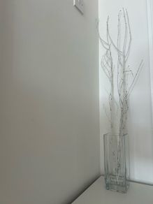 Decorative sparkly white twigs