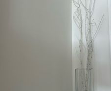 Decorative sparkly white twigs