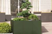 Steel Raised Planter