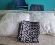 cushions x 2