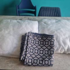 cushions x 2
