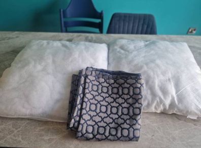 cushions x 2