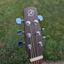 Seagull S6 Eletro-Acoustic Guitar + Hard Case Image 6