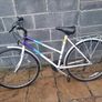 Raleigh Pioneer Image 2