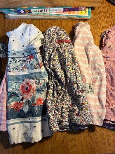 12-18 Months girls clothes (bundle)