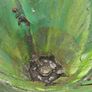 fertiliser spreader Image 3