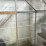 Aluminium Greenhouse with Perspex Panels Image 2