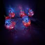 5 Outdoor acrylic robins battery operated Image 2