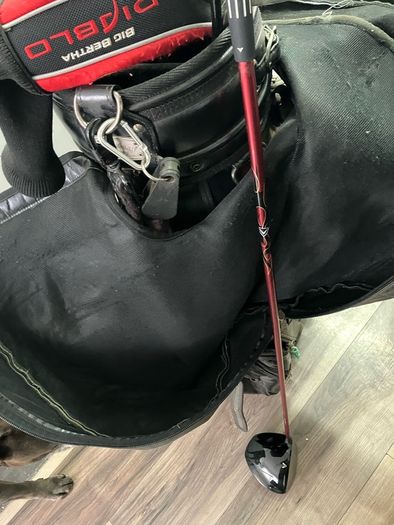 golf bag and clubs