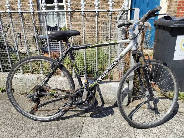 Adult Bike
