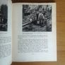 Hango Belagras Image 4