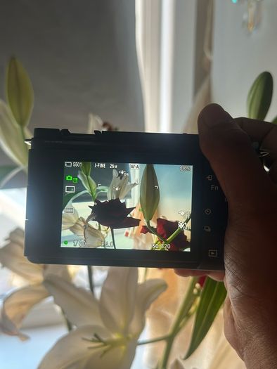 Sony Zve10 Mark 2 Digital Camera