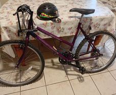 Ladies bike