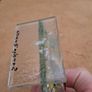 Sandra Duarte Signed Glass Ornament Image 6