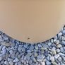 2 stools pouffes Image 2