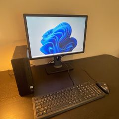 HP Desktop / Monitor - Full WFH Setup