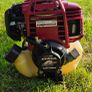 Honda strimmer gx25 Image 4