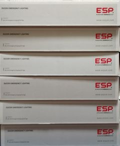 Hanging emergency exit lights